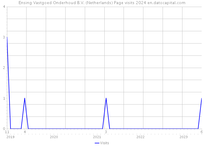 Ensing Vastgoed Onderhoud B.V. (Netherlands) Page visits 2024 
