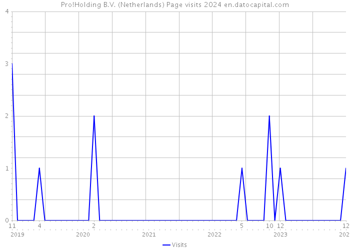 Pro!Holding B.V. (Netherlands) Page visits 2024 