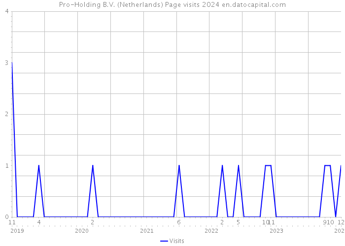 Pro-Holding B.V. (Netherlands) Page visits 2024 