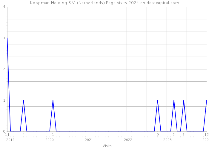 Koopman Holding B.V. (Netherlands) Page visits 2024 