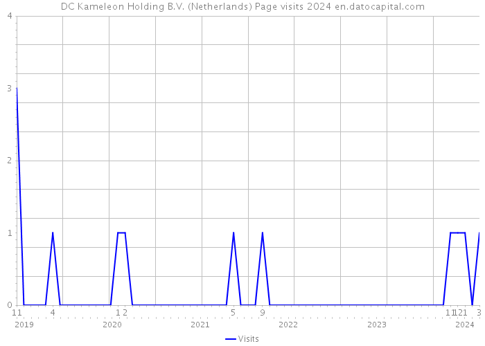 DC Kameleon Holding B.V. (Netherlands) Page visits 2024 