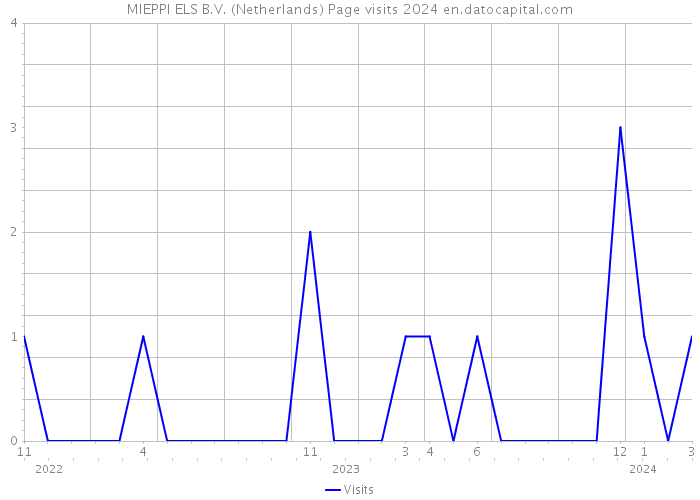 MIEPPI ELS B.V. (Netherlands) Page visits 2024 