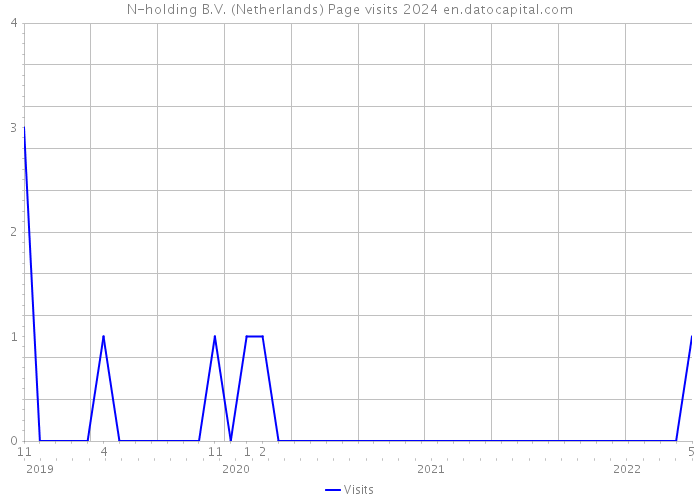 N-holding B.V. (Netherlands) Page visits 2024 