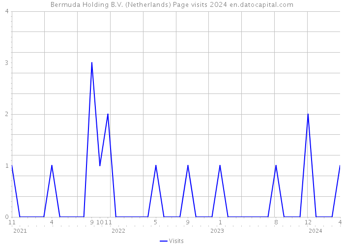 Bermuda Holding B.V. (Netherlands) Page visits 2024 