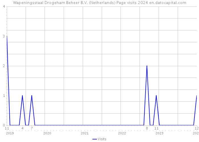 Wapeningsstaal Drogeham Beheer B.V. (Netherlands) Page visits 2024 