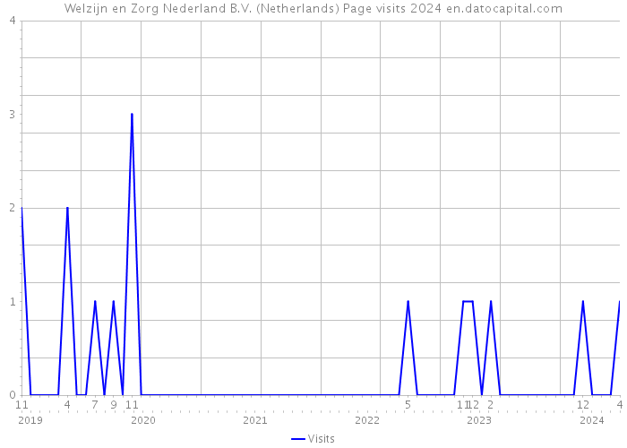 Welzijn en Zorg Nederland B.V. (Netherlands) Page visits 2024 