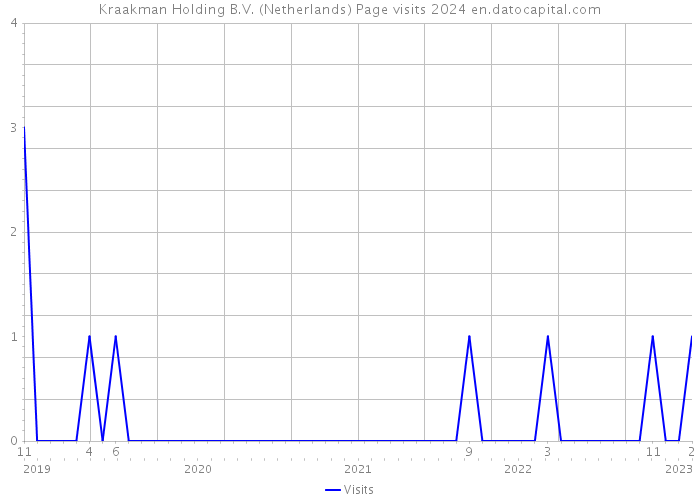 Kraakman Holding B.V. (Netherlands) Page visits 2024 