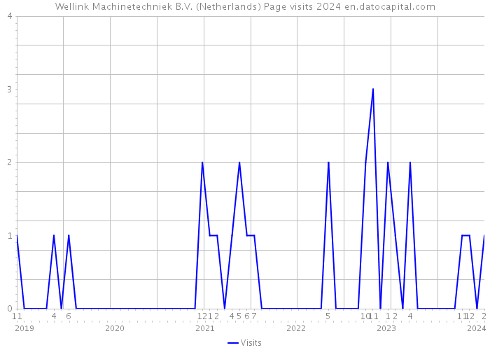 Wellink Machinetechniek B.V. (Netherlands) Page visits 2024 