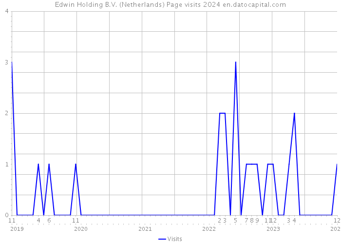 Edwin Holding B.V. (Netherlands) Page visits 2024 