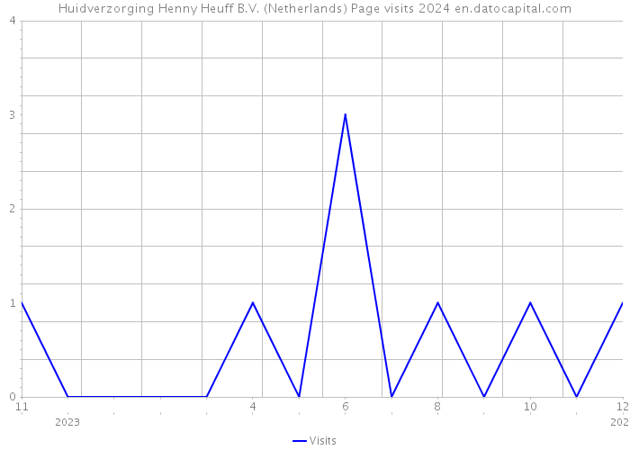 Huidverzorging Henny Heuff B.V. (Netherlands) Page visits 2024 