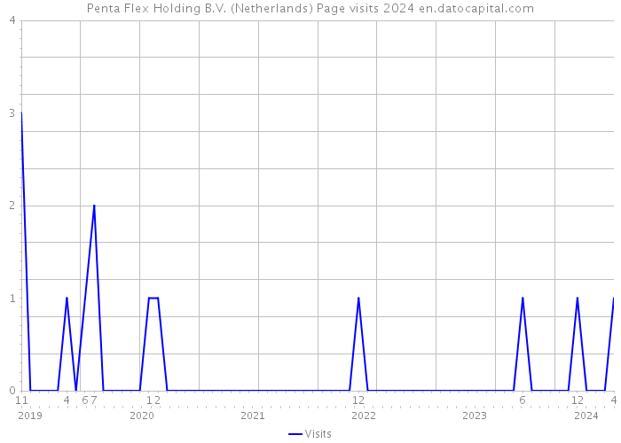 Penta Flex Holding B.V. (Netherlands) Page visits 2024 