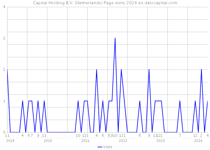 Capital Holding B.V. (Netherlands) Page visits 2024 