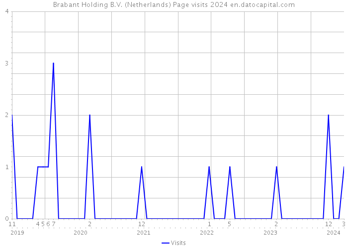 Brabant Holding B.V. (Netherlands) Page visits 2024 