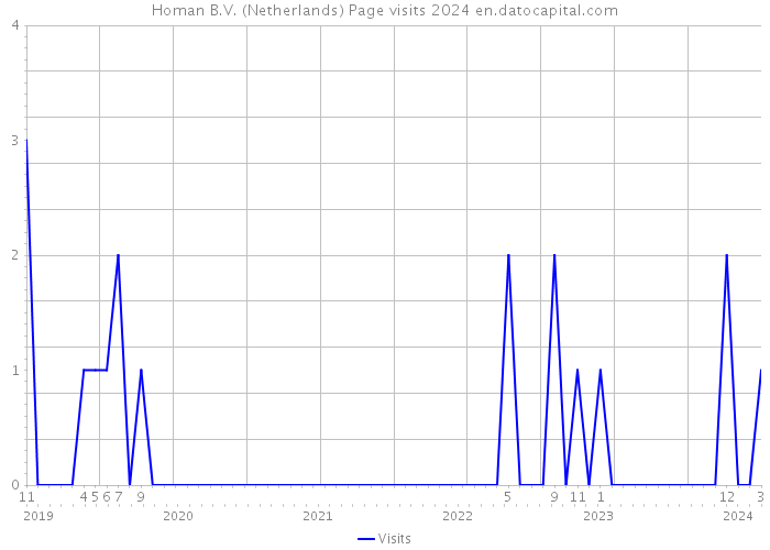 Homan B.V. (Netherlands) Page visits 2024 