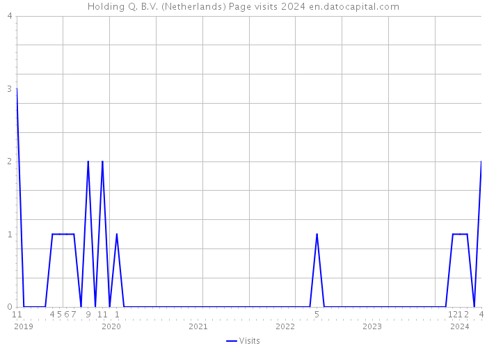 Holding Q. B.V. (Netherlands) Page visits 2024 