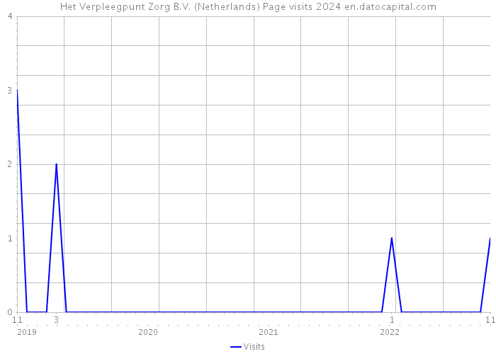 Het Verpleegpunt Zorg B.V. (Netherlands) Page visits 2024 
