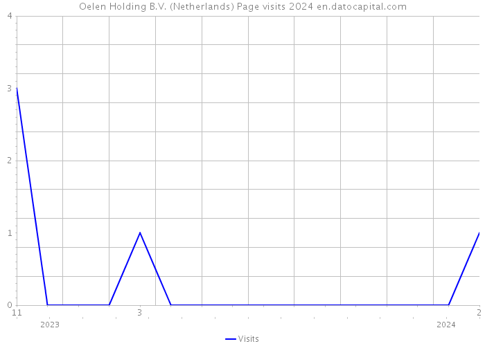 Oelen Holding B.V. (Netherlands) Page visits 2024 
