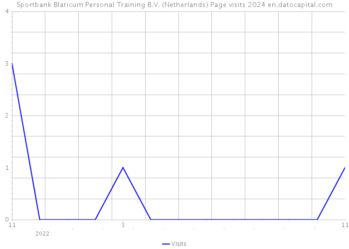 Sportbank Blaricum Personal Training B.V. (Netherlands) Page visits 2024 