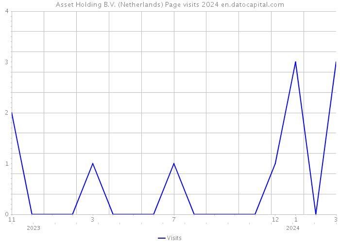 Asset Holding B.V. (Netherlands) Page visits 2024 