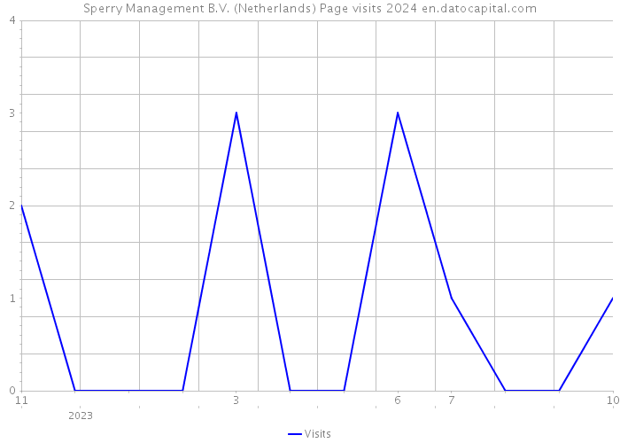 Sperry Management B.V. (Netherlands) Page visits 2024 