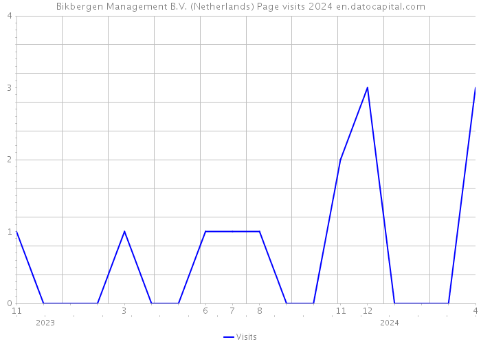 Bikbergen Management B.V. (Netherlands) Page visits 2024 