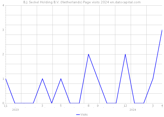 B.J. Seckel Holding B.V. (Netherlands) Page visits 2024 