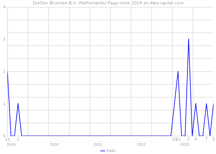ZeeSter Bloemen B.V. (Netherlands) Page visits 2024 
