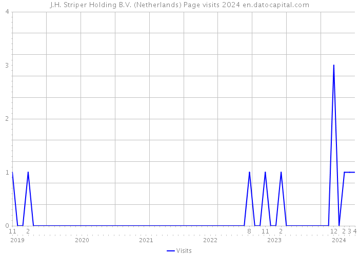 J.H. Striper Holding B.V. (Netherlands) Page visits 2024 