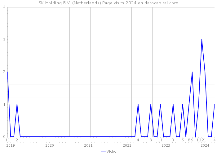 SK Holding B.V. (Netherlands) Page visits 2024 