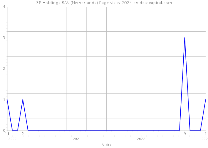 3P Holdings B.V. (Netherlands) Page visits 2024 