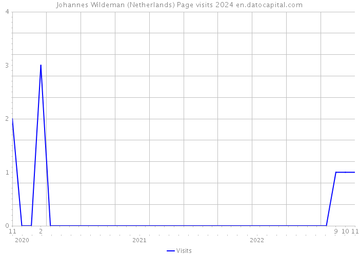 Johannes Wildeman (Netherlands) Page visits 2024 