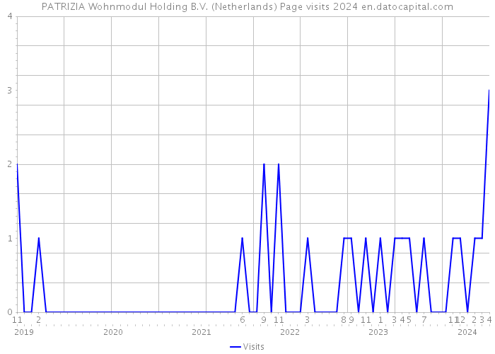 PATRIZIA Wohnmodul Holding B.V. (Netherlands) Page visits 2024 