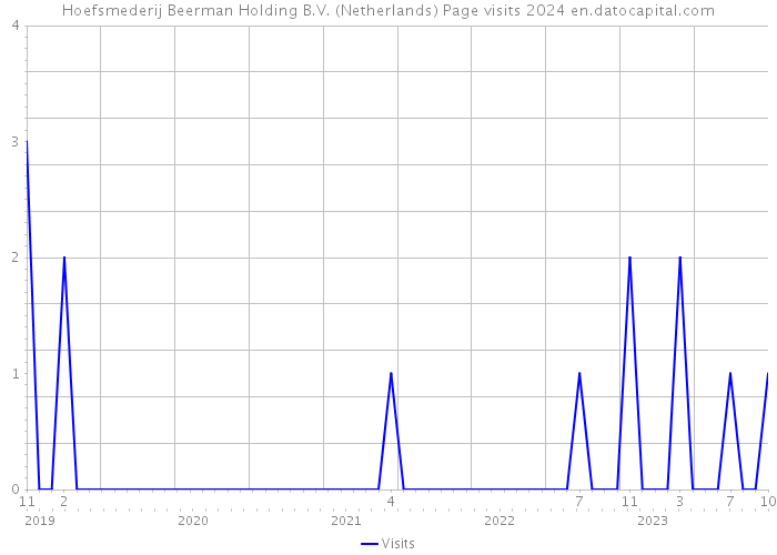 Hoefsmederij Beerman Holding B.V. (Netherlands) Page visits 2024 