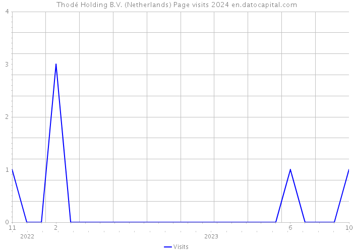 Thodé Holding B.V. (Netherlands) Page visits 2024 