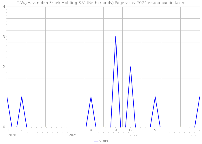 T.W.J.H. van den Broek Holding B.V. (Netherlands) Page visits 2024 