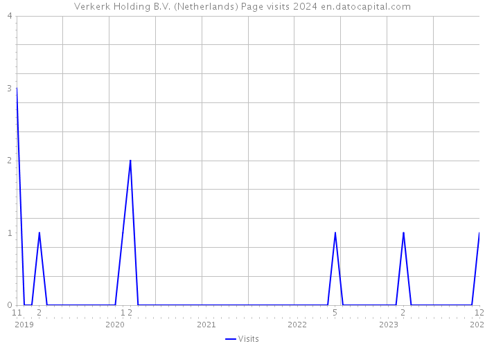 Verkerk Holding B.V. (Netherlands) Page visits 2024 