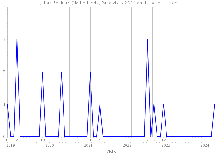 Johan Bokkers (Netherlands) Page visits 2024 