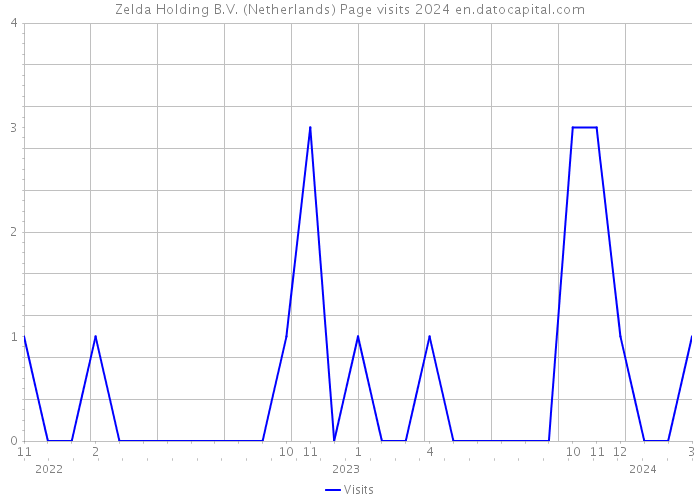 Zelda Holding B.V. (Netherlands) Page visits 2024 