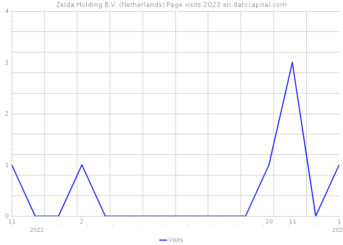 Zelda Holding B.V. (Netherlands) Page visits 2023 
