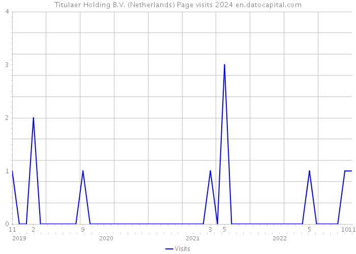 Titulaer Holding B.V. (Netherlands) Page visits 2024 