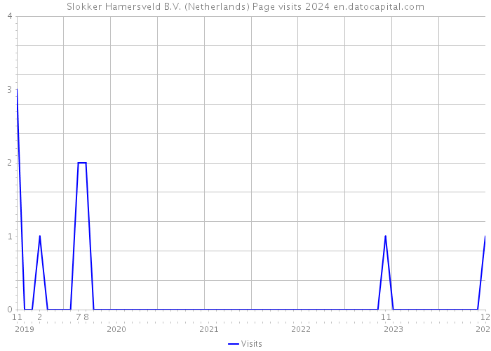 Slokker Hamersveld B.V. (Netherlands) Page visits 2024 