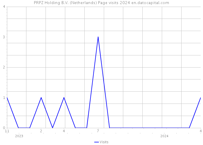PRPZ Holding B.V. (Netherlands) Page visits 2024 