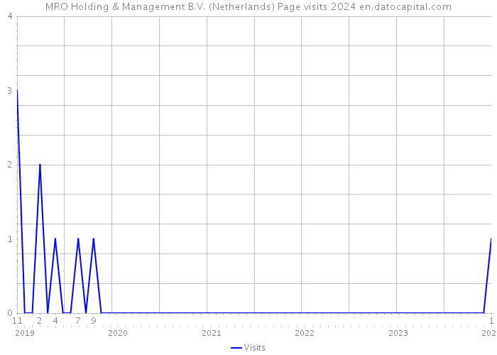 MRO Holding & Management B.V. (Netherlands) Page visits 2024 