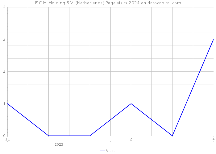 E.C.H. Holding B.V. (Netherlands) Page visits 2024 
