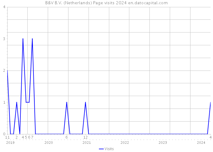 B&V B.V. (Netherlands) Page visits 2024 