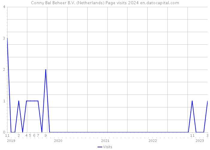 Conny Bal Beheer B.V. (Netherlands) Page visits 2024 