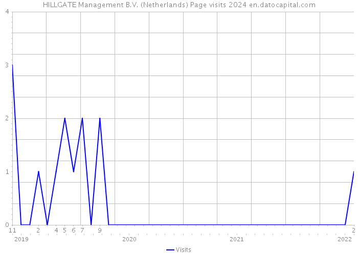 HILLGATE Management B.V. (Netherlands) Page visits 2024 