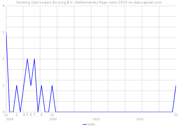 Holding Gebroeders De Jong B.V. (Netherlands) Page visits 2024 