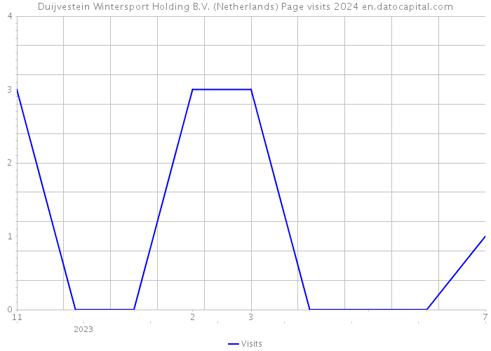 Duijvestein Wintersport Holding B.V. (Netherlands) Page visits 2024 