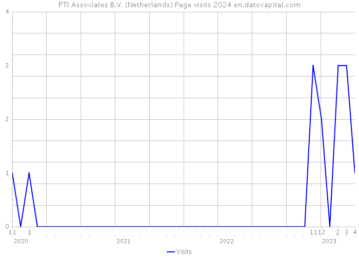 PTI Associates B.V. (Netherlands) Page visits 2024 